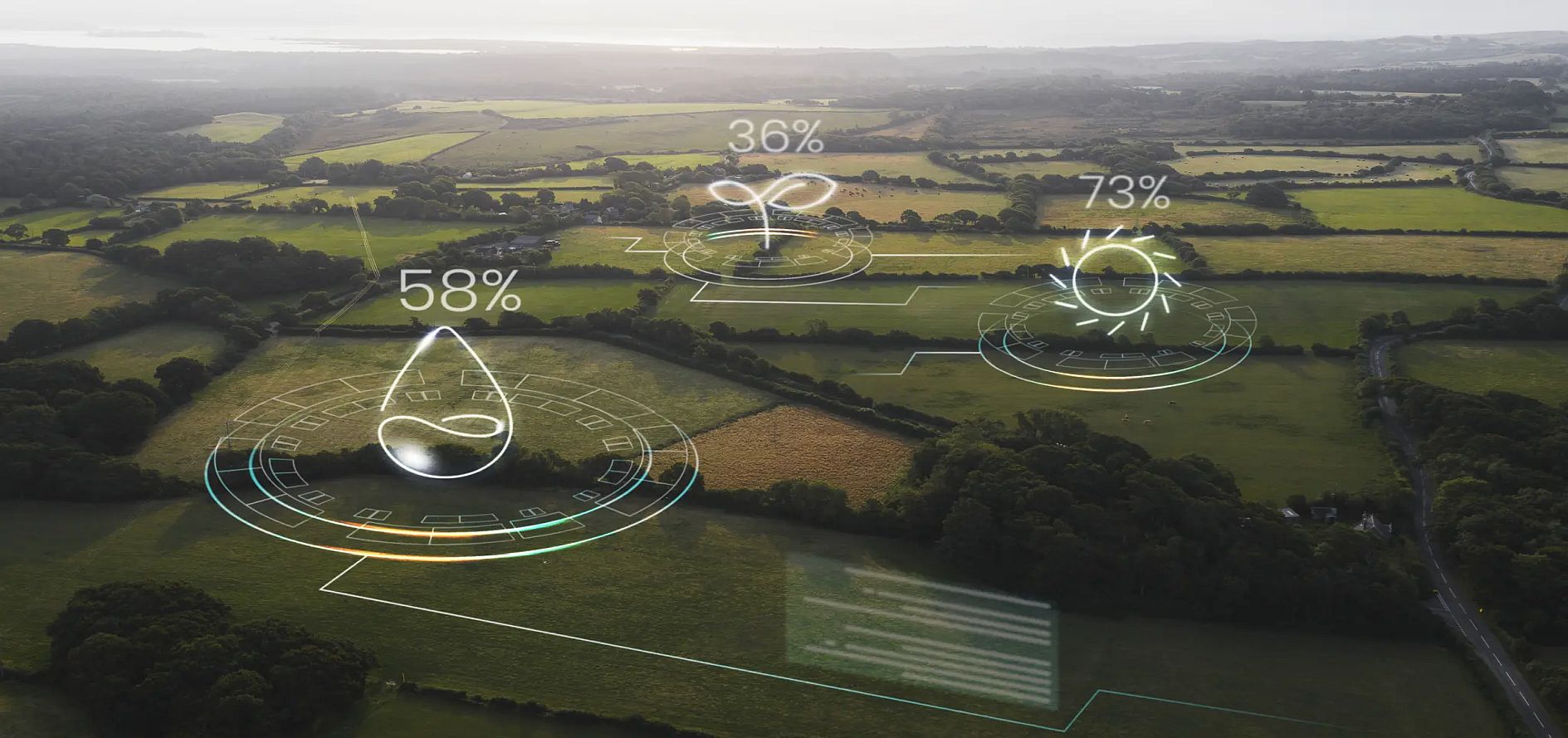 Revolutionizing Agriculture: Enhancing Efficiency with IoT Sensors - InviBIT Shop
