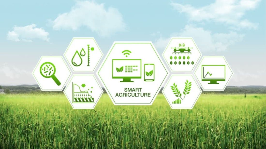 🌿 Smart Agriculture with Dragino: LoRaWAN® Sensors for Modern Farming - InviBIT Shop