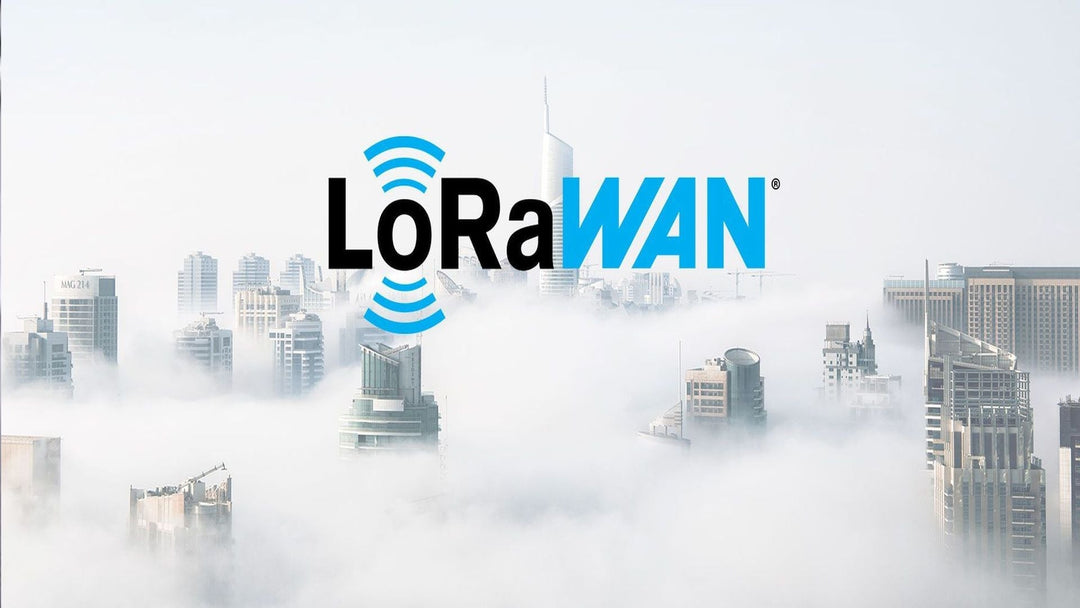 LoRaWAN Gateways: Indoor & Outdoor Solutions for IoT Connectivity - InviBIT Shop