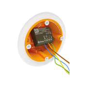 MClimate 16A Dry Switch LoRaWAN (16ADS) – Smart Relay