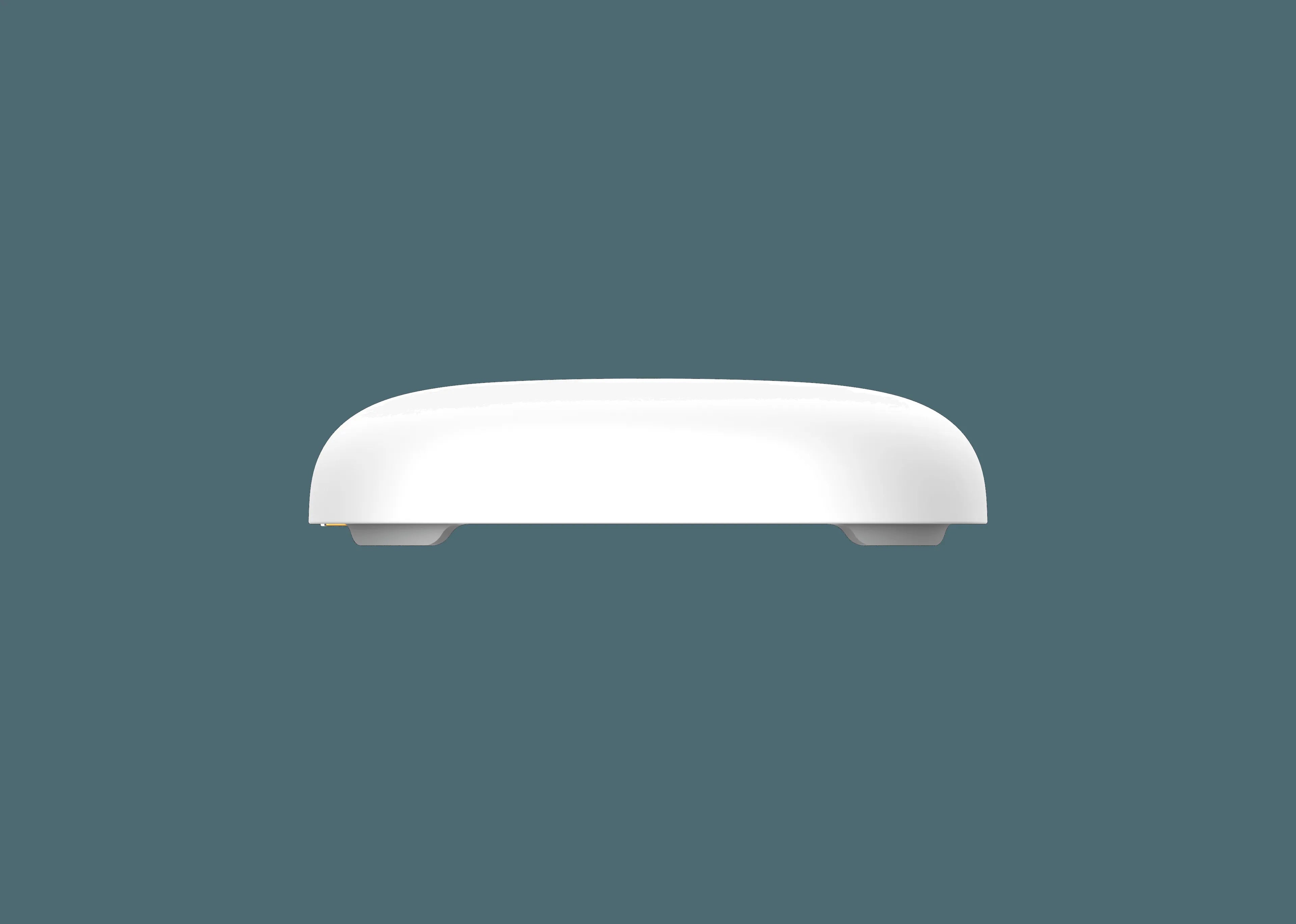 Milesight WS303 – LoRaWAN® Mini Leak Detection Sensor (EU868)